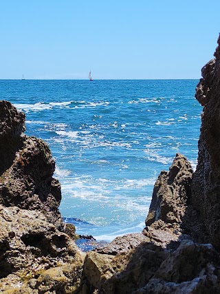 Tide Pools