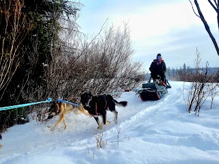 Jackson Hole’s Continental Divide Dogsled Adventures