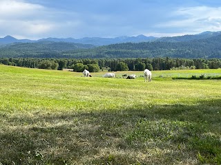 Rancho Alegre Lodge