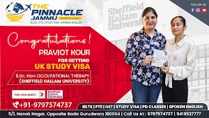 THE PINNACLE OVERSEAS EDUCATION (IELTS / PTE / STUDY VISA)