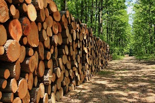 Mid Carolina Timber Company