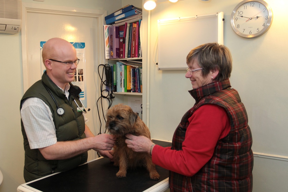 McMurtry & Harding Veterinary Practice in 8 St Johns St, Wirksworth, Matlock DE4 4DR, UK - Veterinary Cares featuring 