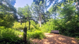 Cape May Bird Observatory - Northwood Center