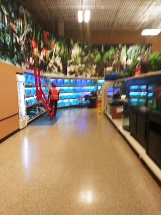 PetSmart