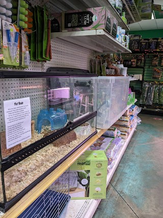 Zoo Creatures Pet Store