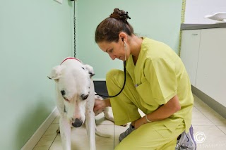 Centro Veterinario Cruz del Sur