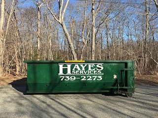 Hayes Services LLC | Dumpster Rental | Tree Removal | Junk Removal