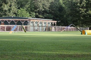 A Stay in the Country Pet Lodge and Training Center