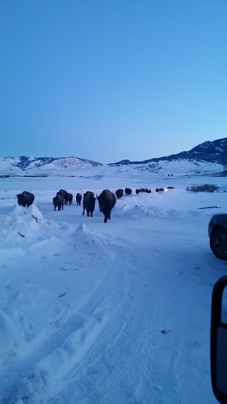 Headwaters of the Yellowstone