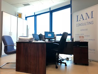 IAM Consulting