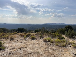 Burro Mountain Homestead