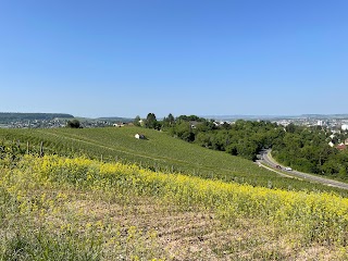 Wein Panorama Weg