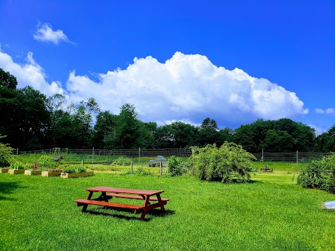 Quiet Corner Cottage Vacation Rental