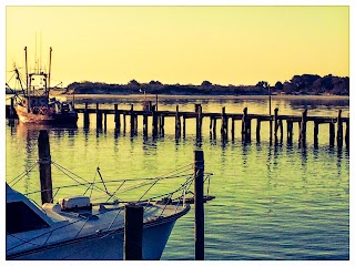 The Shark on the Harbor Restaurant