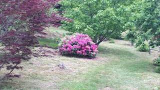 Forstbotanischer Garten Wasungen