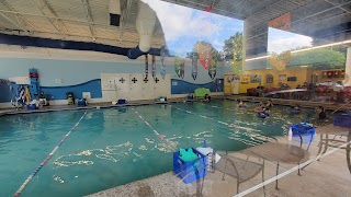 Aqua-Tots Swim Schools Cary