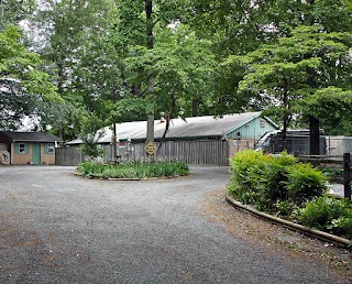 Top of the Bay Pet Lodge