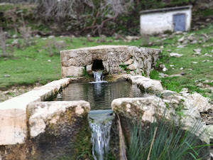 Fuente de La Fuenfria