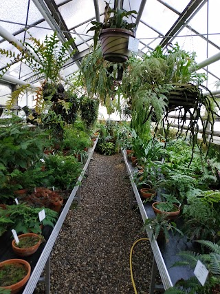 Botanischer Garten der Johannes Gutenberg-Universität Mainz