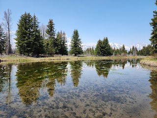 Schwabacher Landing