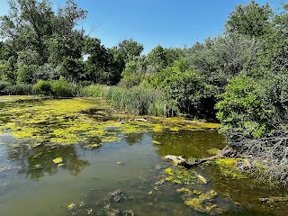 Heron Haven Nature Center