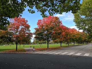 Bluegrass Park