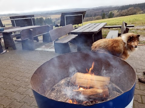 Ferienhaus Naturliebe: Ferienhaus mit Hund mieten in Alleinlage am Wald mit Sauna, Kamin, in Vogelsberg, Hessen, Deutschland