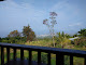 Photo of Aloha Kona Coffee Co - 75-5491 Mamalahoa Highway, Holualoa, HI 96725, USA