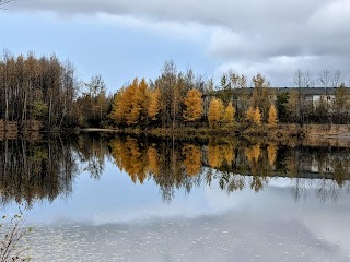 University Lake Dog Park