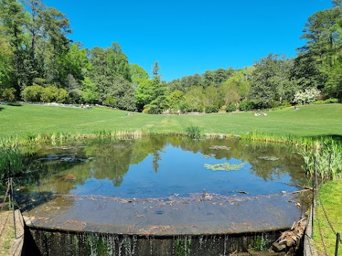 Sarah P. Duke Gardens