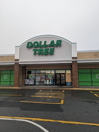 Dollar Tree