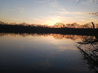 Loop Island Wetlands