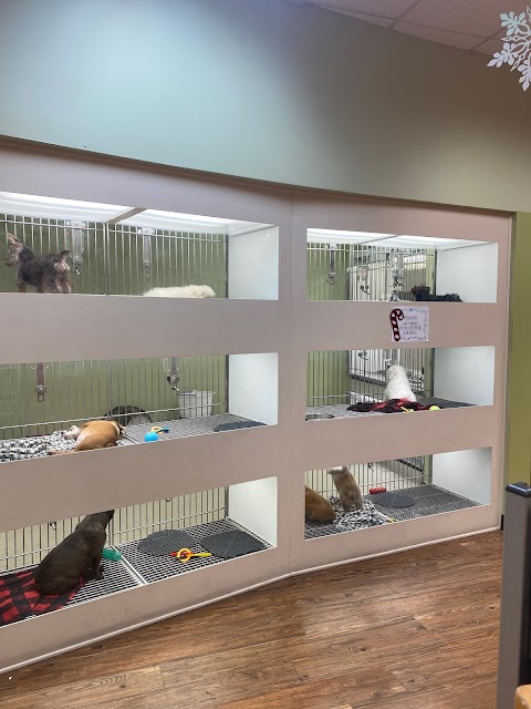 Photo of Fetch Puppies - 2700 Miamisburg Centerville Road, Dayton, OH 45459, USA