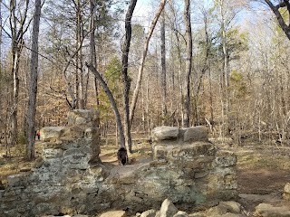 Robinson Rock House Ruins