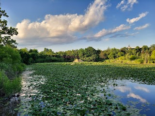 Broadlands Wetlands Preservation Area