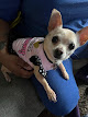 Photo of South Paws Dog Grooming - 4618 South 46th Avenue, Omaha, NE 68117, USA