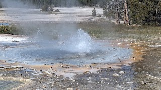 Minute Geyser