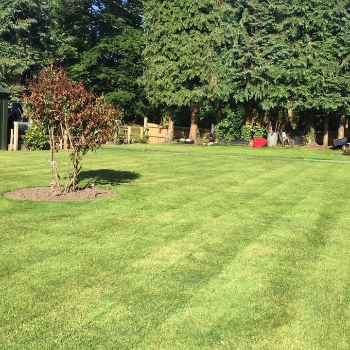 Robert's Garden Maintenance in Hampton Ln, Blackfield, Southampton SO45 1XR, UK - Gardeners featuring 