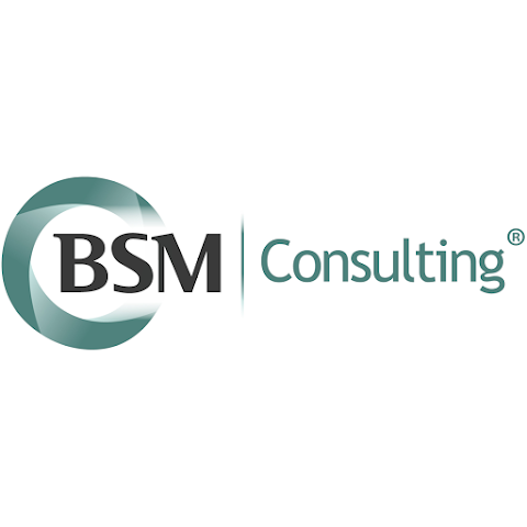 BSM Consulting