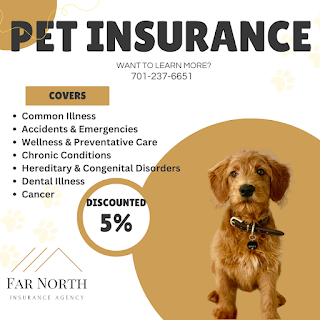 Far North Insurance