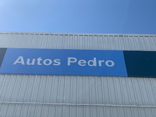 Bosch Car Service Autos Pedro