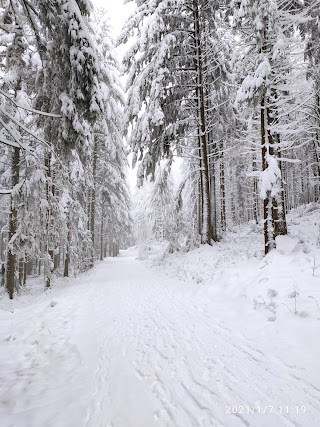 Sport-Kern Seebach Wintersportgeschäft