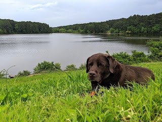 Shelley Lake Park