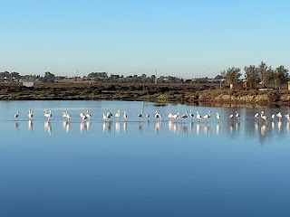 Parque Natural Bahía de Cádiz