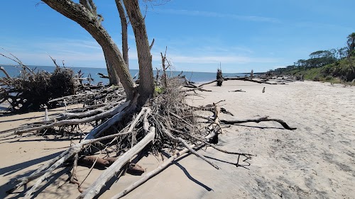 Driftwood Beach