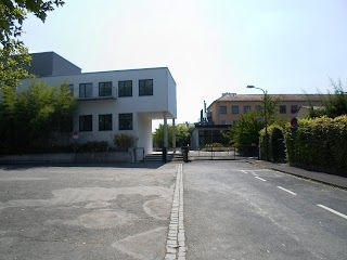 Universität Würzburg Botanisches Institut