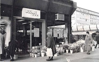 BLUME2000 im Marktkauf Weinheim