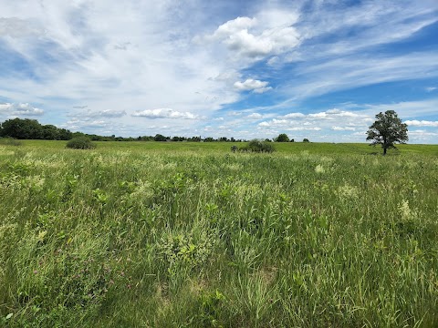 Happy Landings Protected Open Space