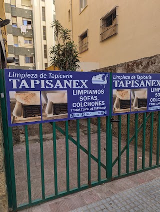 Limpieza de Tapicería | Tapisanex