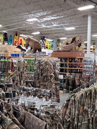 Sportsman's Warehouse